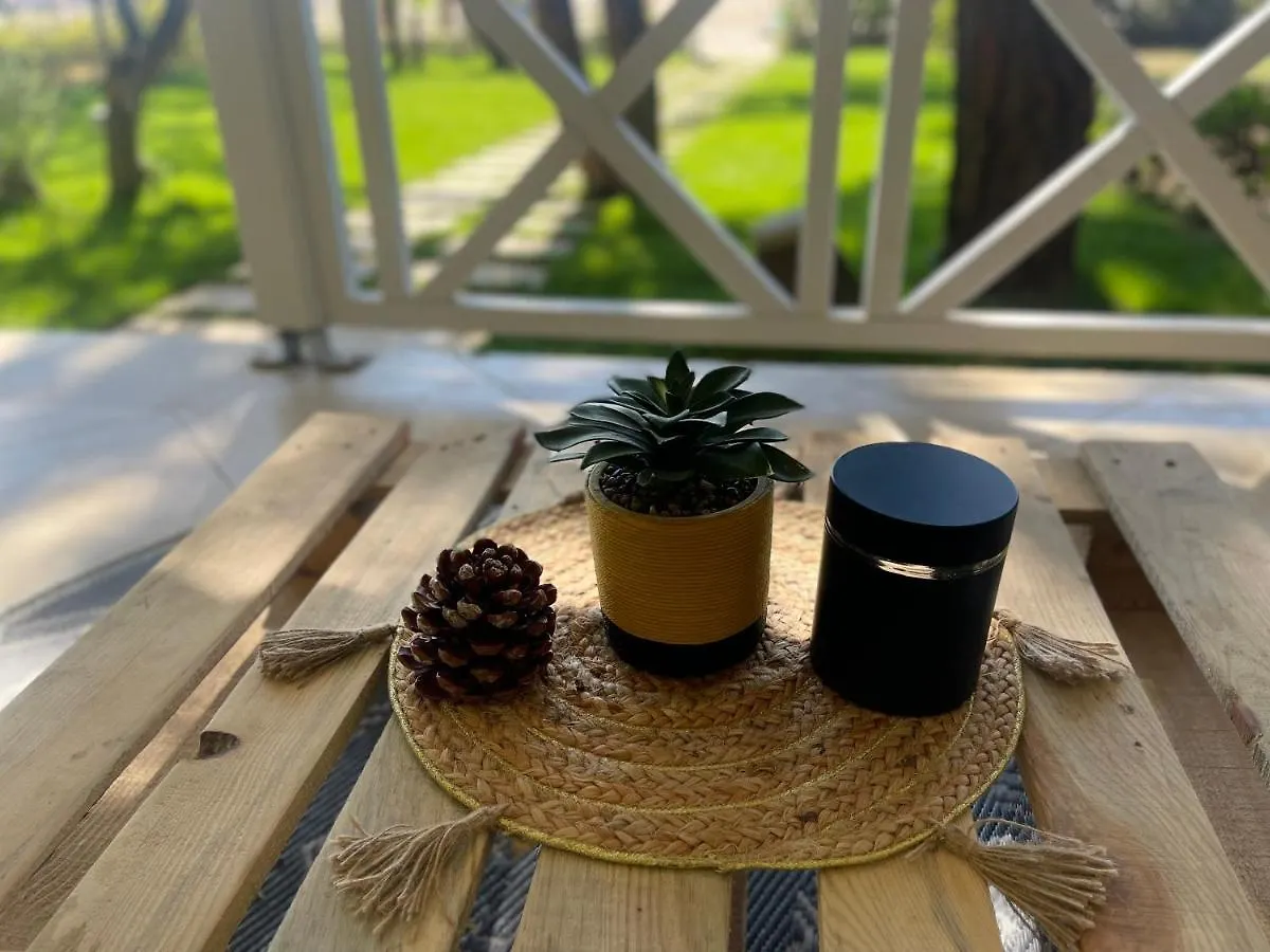 فيلة Marlis' Home غوليم