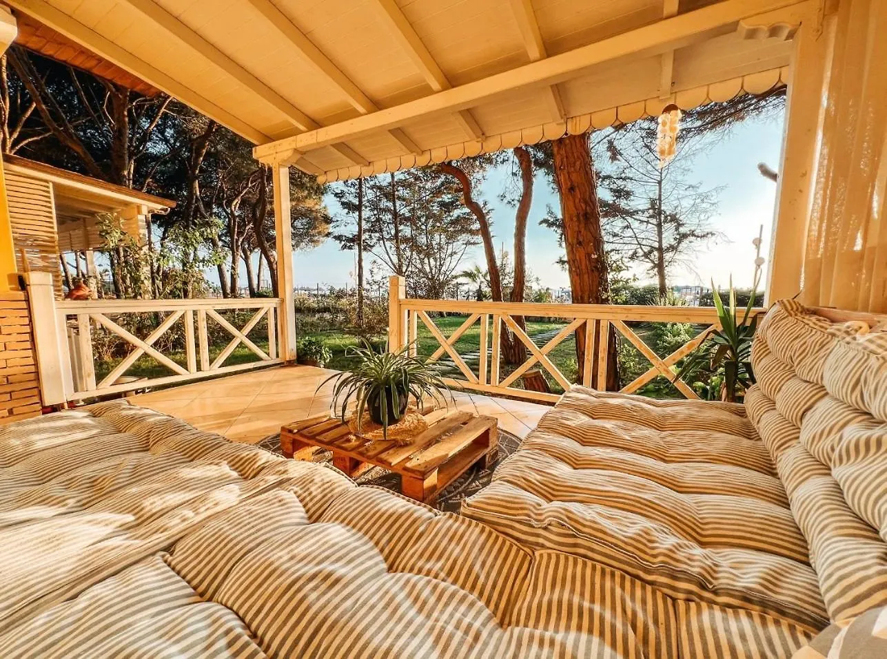 فيلة Marlis' Home غوليم ألبانيا